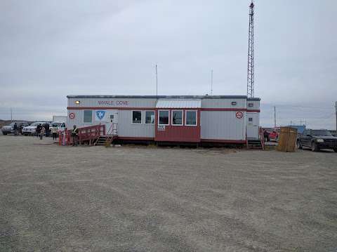 Whale Cove Airport